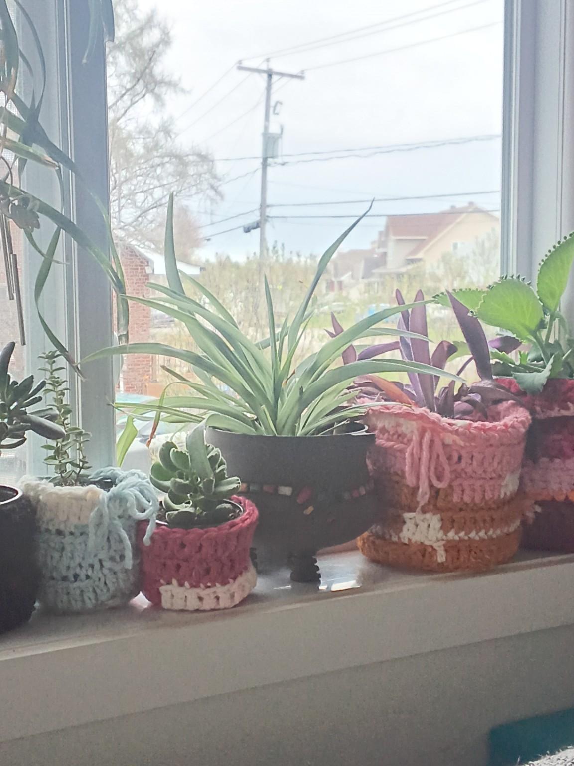 Nath’s finished chunky crochet plant pot covers on a sunny windowsill
